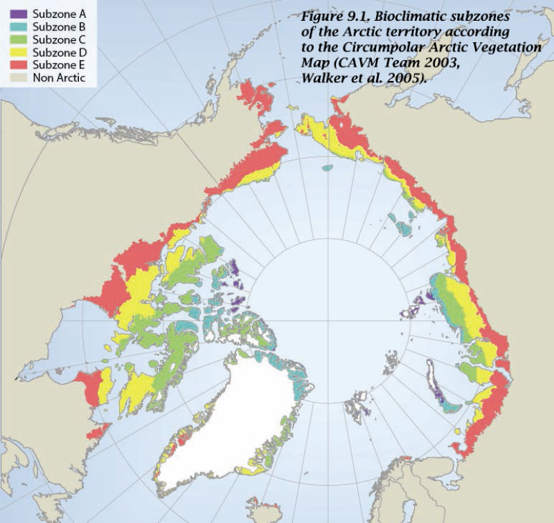 Bioclimatic subzones of the Arctic territory according to the CAVM